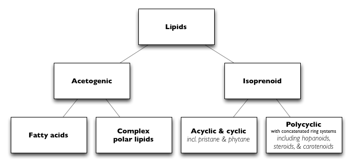 Lipid classification
